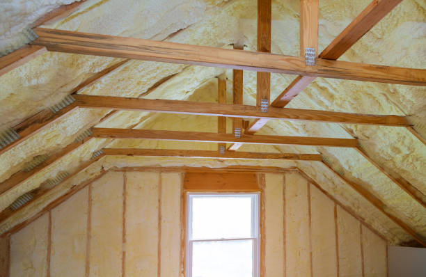 Best Blown-in Insulation  in Festus, MO