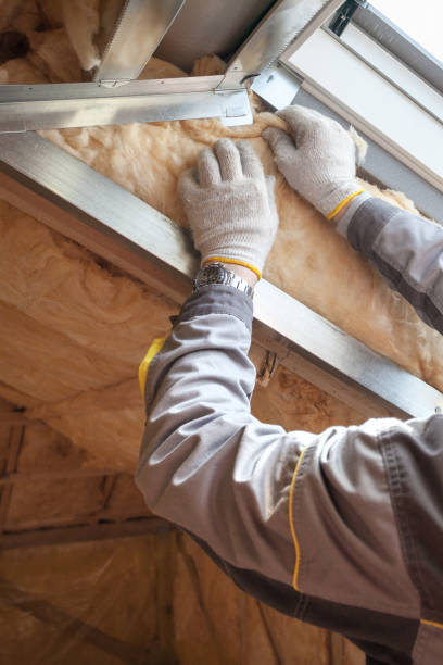 Best Attic Insulation Installation  in Festus, MO