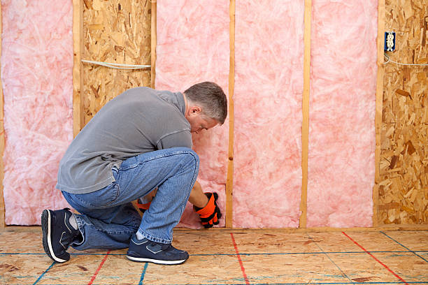 Best Energy-efficient Insulation  in Festus, MO